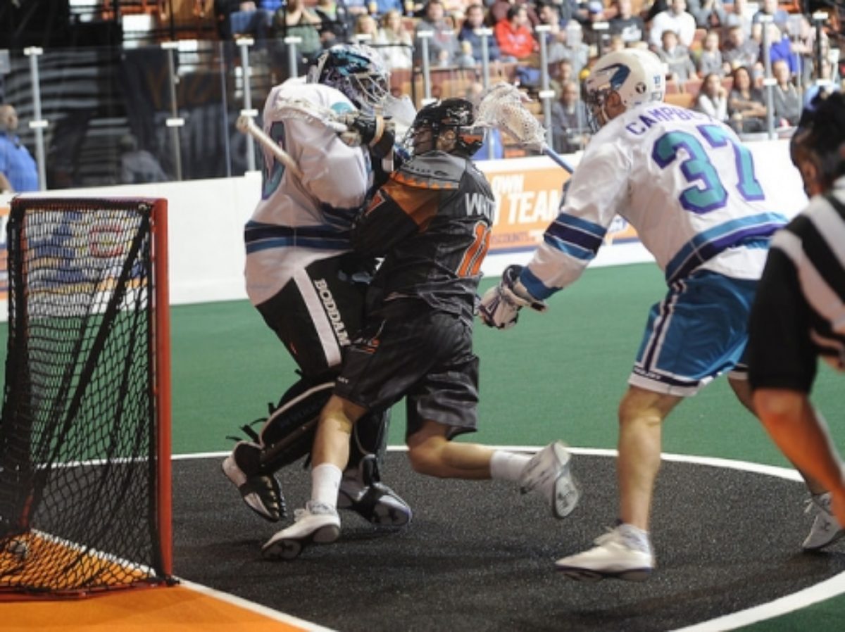 NLL Notebook: Seals, Black Wolves Off to Surprising Starts