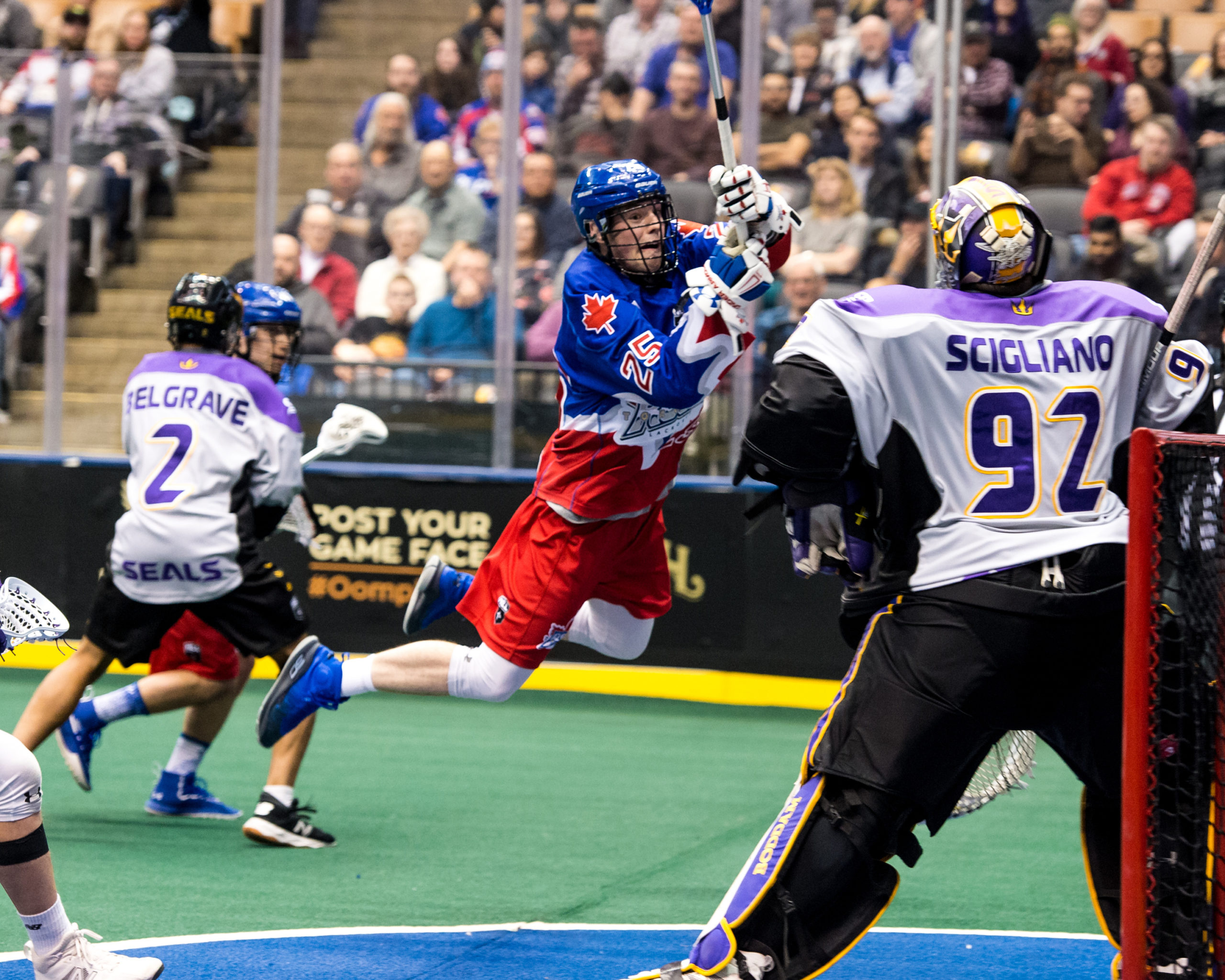 Seals, Desert Dogs to Play First-Ever Outdoor NLL Game