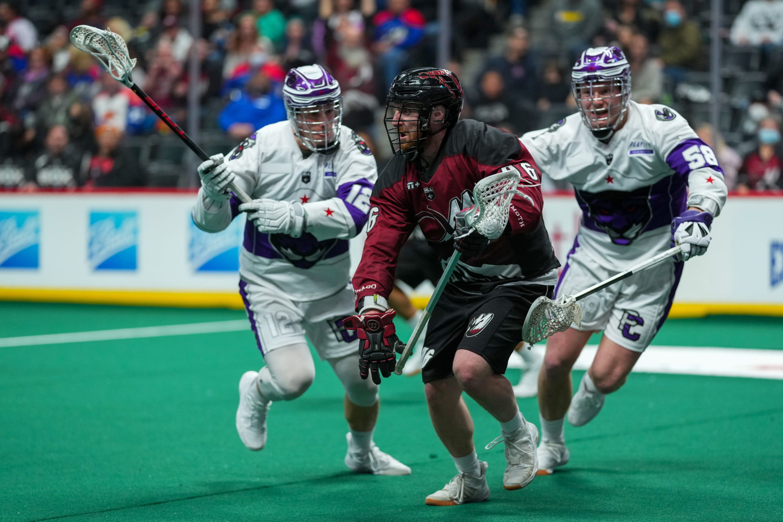 New York Riptide Acquire Connor Kearnan From San Diego Seals In Trade - New  York Riptide