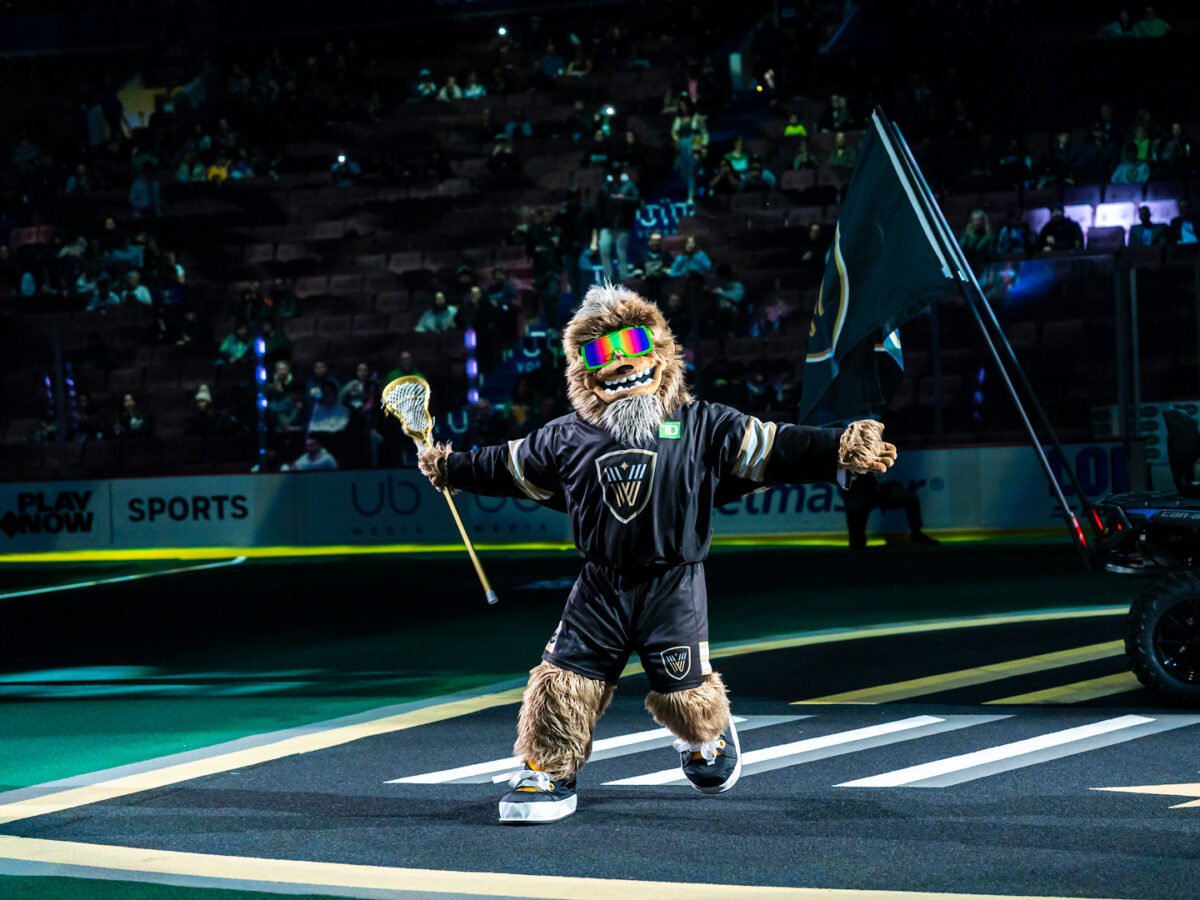 Meet Timbr the Sasquatch – the first ever mascot of the Vancouver's  lacrosse club - Burnaby Now